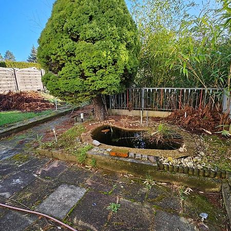 Haus Mit Garten Halle  Eksteriør billede